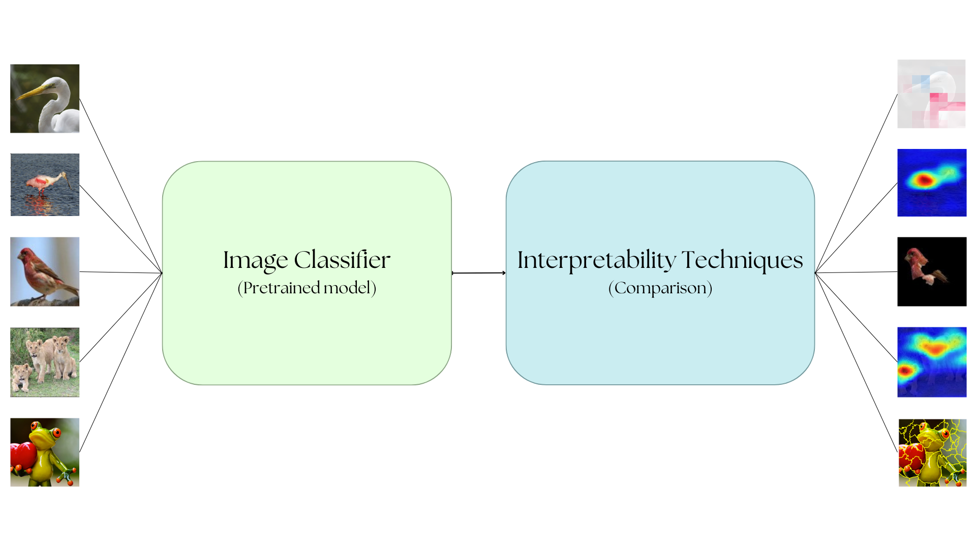 Can AI Understand Our Connection to Nature? A Bachelor’s Thesis Success at BIG-5